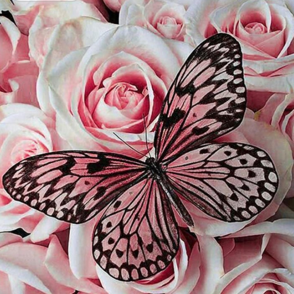 Meet your Posher, Maria